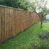 Feather Edge Fencing 4